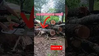 MUST-SEE: STIHL MS661 MAGNUM in action! 🌟 #diy #firewood #MS661