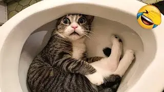 The funniest moments of animals😂🐶🐱 🐾 Are you ready to laugh?🤣❤️ Part 5