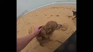 15th August 2024 #surfeveryday #gopro4k #northavoca #beach  #2024 #bodyboarding #quasimoto #2024 #4k