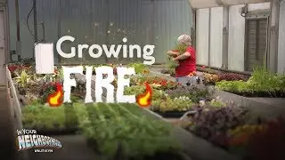 A new twist on some of Jersey&rsquo;s most beloved veggies | In Your Neighborhood