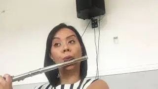 Se Cristo comigo vai - Harpa Cristã - Flauta Transversal
