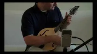 Sitka Versus Red Spruce Mandolin Comparison