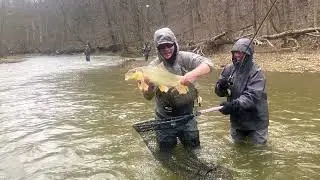 Steelhead 2022