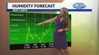 Savannah's Evening Weather 7/13