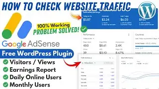 How To Check Website Traffic, Visitors, Views Using WordPress Plugin