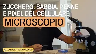 MICROSCOPI A SCUOLA - COME COMINCIARE? un introduzione al microscopio