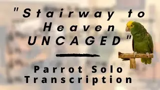 Stairway to Heaven (UNCAGED) (Parrot Transcription)