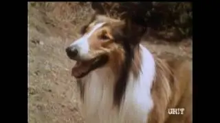 Lassie - Episode #437  - 