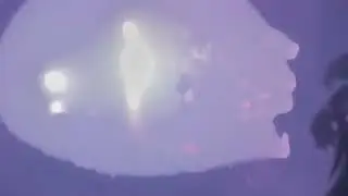 Bladee - I Think Live The Fillmore Silver Spring, MD / Washington DC 10/01/25