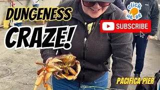 🦀 Dungeness Crazy! | Безостановочный экшн 🦀 Пирс, полный охотников на крабов из Dungeness 🦀😊