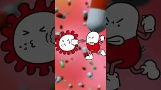 How does antibiotics work in the body?? #shorts
