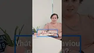 Behavioural Support Practitioner