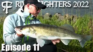 River Fighters 2022 - Dicke Zander und Meterhechte!!!