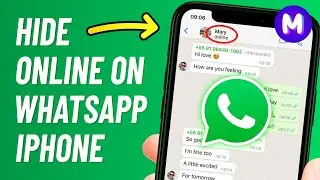 How to HIDE ONLINE on WhatsApp iPhone - New Update