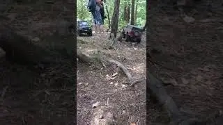 South Coast crawlers uk