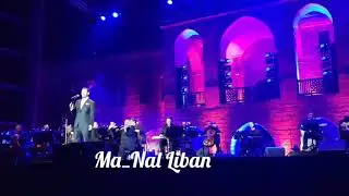 مع بيروتية - لم يبقى سوانا بالمطعم - كاظم الساهر - بيت الدين 2018 - الليلة الثانية