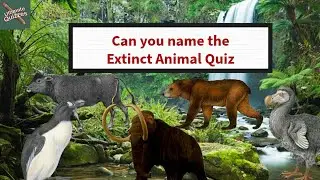 Can You Name the Extinct Animal quiz!