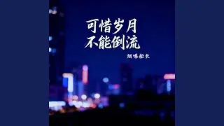 可惜岁月不能倒流