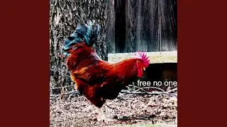 free no one