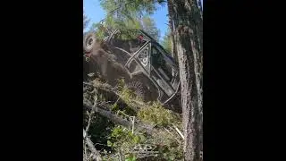 If you're going to suck at least do it spectacularly!