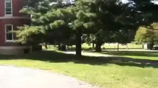 Matt Murton's Neighborhood - Norwood Park the original FDA