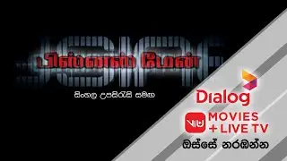 Dialog ViU | Businessman | No Data Charges