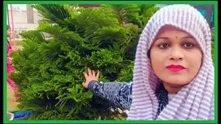 New Year evening ✨🥰🥰🥰 Sonia Saharanpur Vlogs