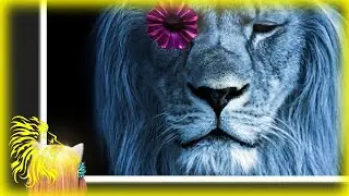Donna Summer - Don't Cry For Me Argentina (Lili Sun Version)