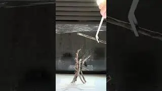 Branch Stacking