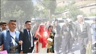 Hakkari Düğünleri Rugeş Bazi Songül & Ali Kaya Ailesi’nin Düğünü Kurdish Wedding عرس كردي