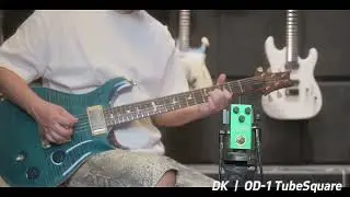 DK OD-1 Tube Square Overdrive Effect Pedal Demo.