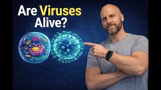 Are Viruses Alive? Ontology Engineering&rsquo;s Answer (It&rsquo;s Not What You Think)