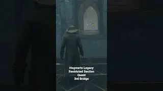 Hogwarts Legacy Solving Restricted Section 3rd Bridge