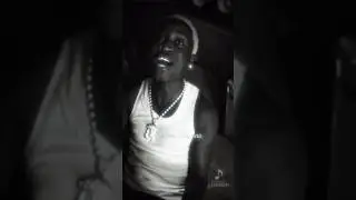AMIRI BY TML VIBEZ (Lyrics video).              #tmlvibez #music #newmusic #viralvideo