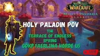 🐼 ToES GDKP 🐼 Terrace of Endless Spring Holy Paladin PoV🔥