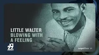 Little Walter - Last Night