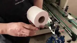 Automatic double channels log saw cutting machine