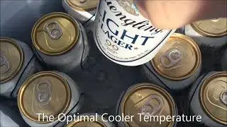 Beer Cooler Perfect Temperature - A Beer Snob's Cheap Brew Review Pro Tip