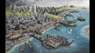 Hverdagsliv i vikingtiden