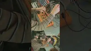 TD3 playing with Eurorack  #dawless #electronicmusic #techno #behringer