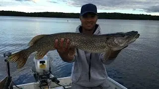 Apsley Ontario - Northern Pike - Aug. 21, 2015