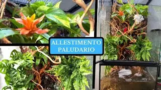 ALLESTISCO DA ZERO IL PALUDARIO con la cascata e piante vere! 🌿💦