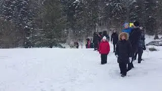 Sleddogs in estonia - Sledding in Haanja