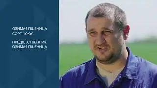 ЕвроХим. Применение азотных удобрений при No-Till обработке почвы