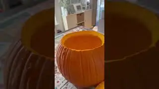 I put that baby in a pumpkin! 🎃