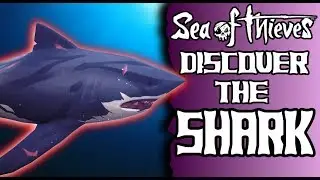 ОТКРОЙТЕ ДЛЯ СЕБЯ АКУЛУ // МОРЕ ВОРОВ - заявка на участие в конкурсе #Sharkweek #SoTShot!