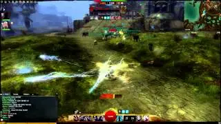 Guild Wars 2: The Animal Raid Farm (HD)