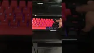 Kraken pro 60 bred edition review !!!🤪