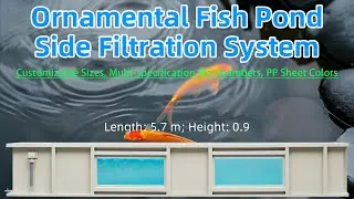 Custom Koi Fish Pond with Filtration Systems