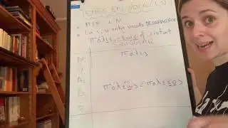 Temes en vocal